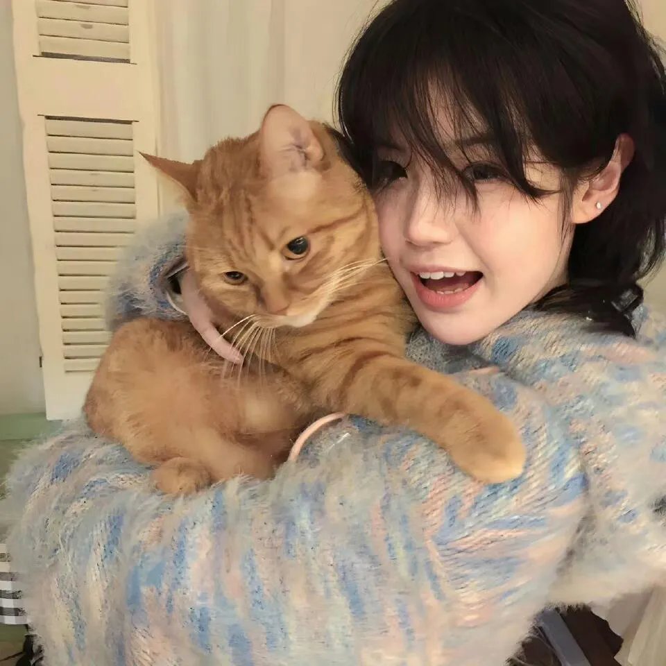 隐藏的面孔
